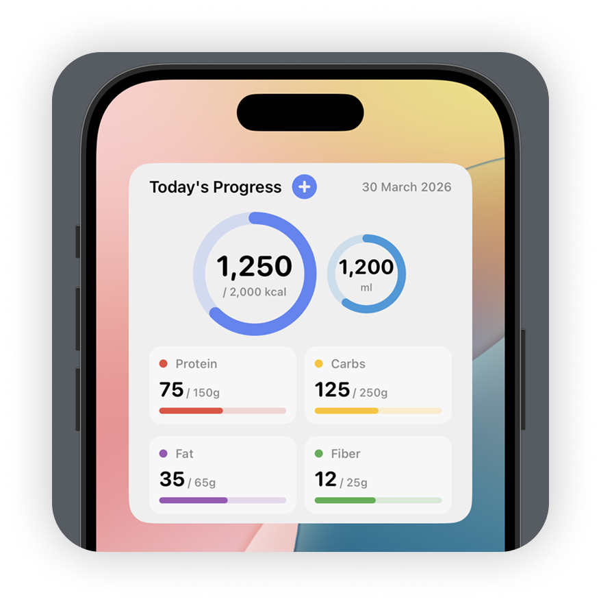 Daily intake and macro progress screenshot