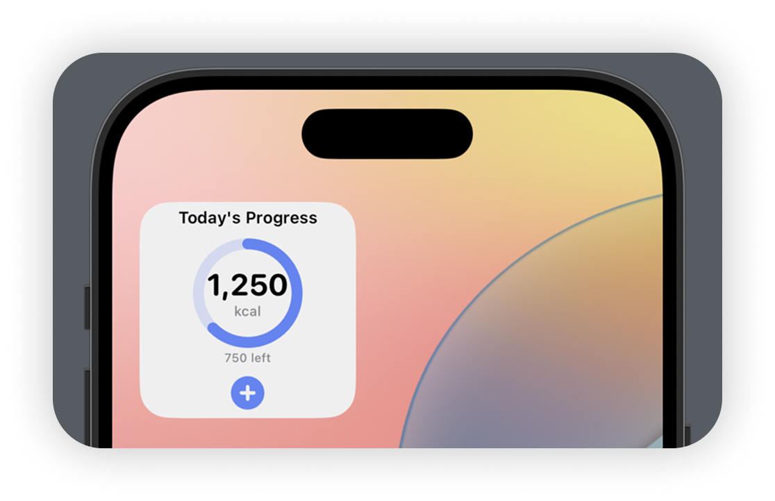 Daily intake and macro progress screenshot